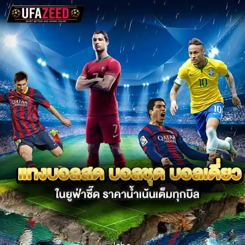 แทงบอลสด-บอลชุด-บอลเดี่ยวในยูฟ่าซี๊ด-ราคาน้ำเน้นเต็มทุกบิล